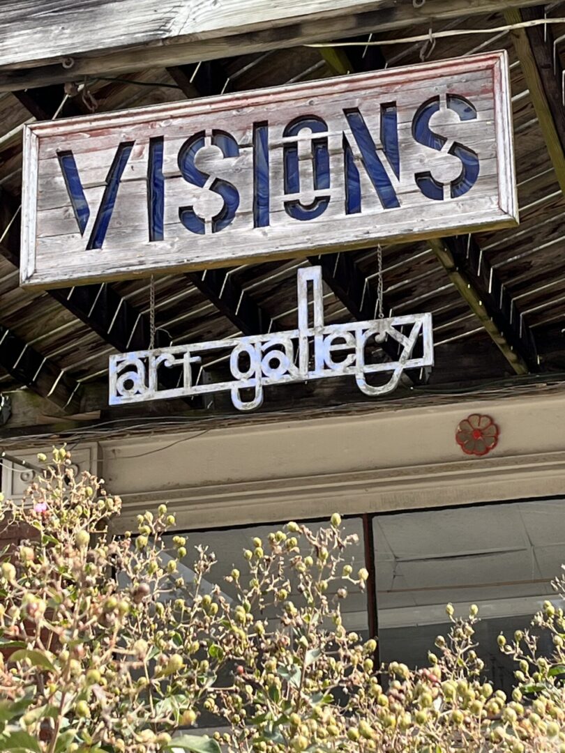 Visions Art Gallery 2024